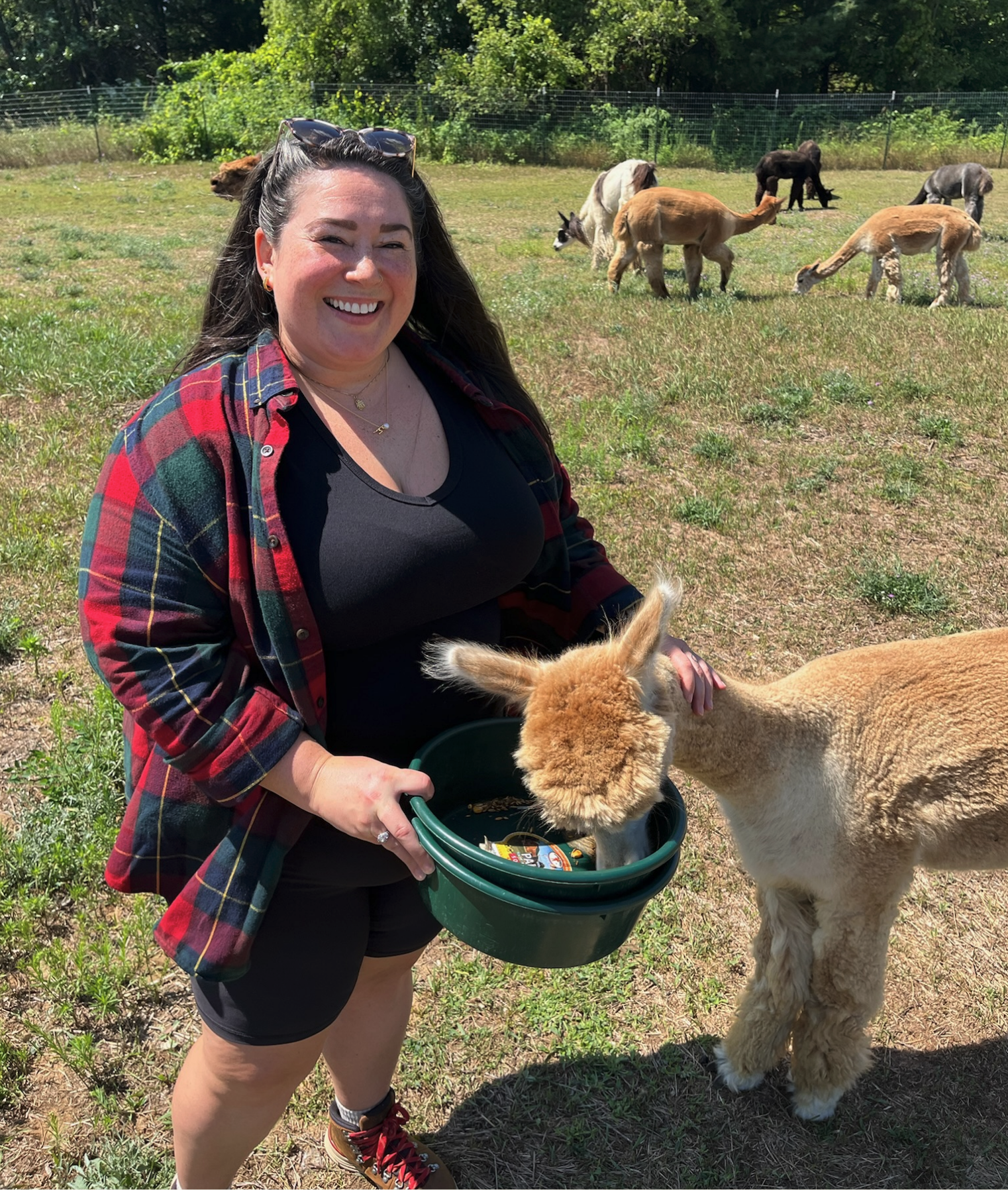 Savannah in a red flannel feeding an alpaca