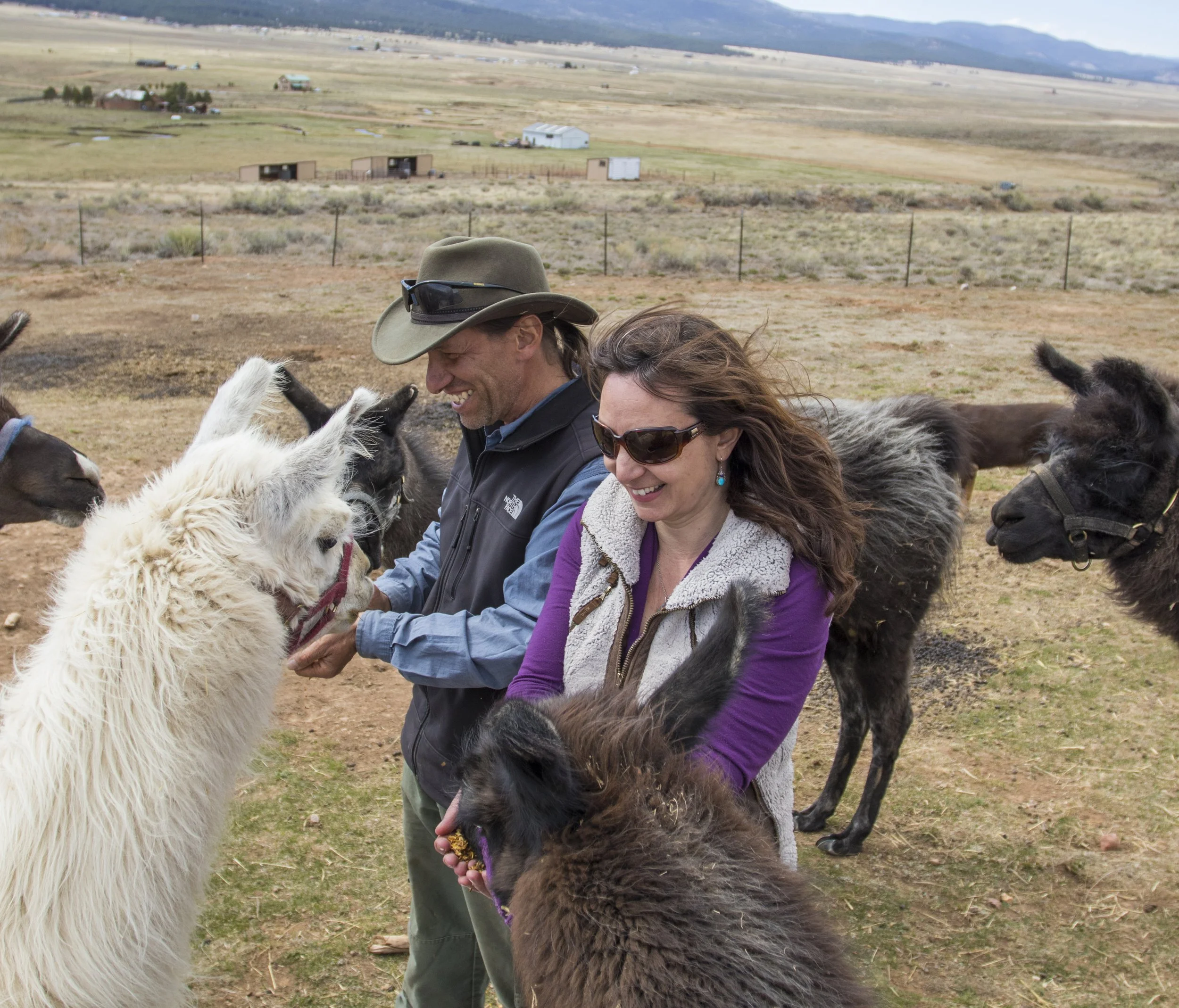 Wild Earth Llama Adventures - Llama Trekking Adventures in New Mexico's Pristine Wilderness!