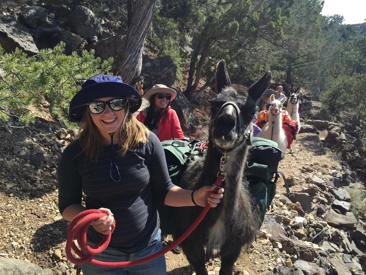 “Take a Llama to Lunch!”™ Day Hikes