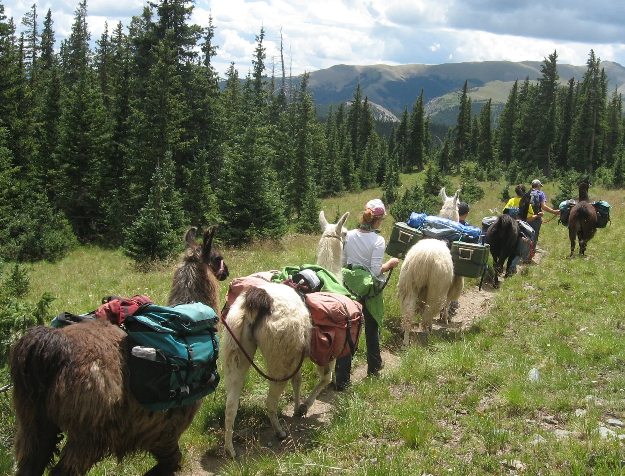Multi Day Wilderness Trips