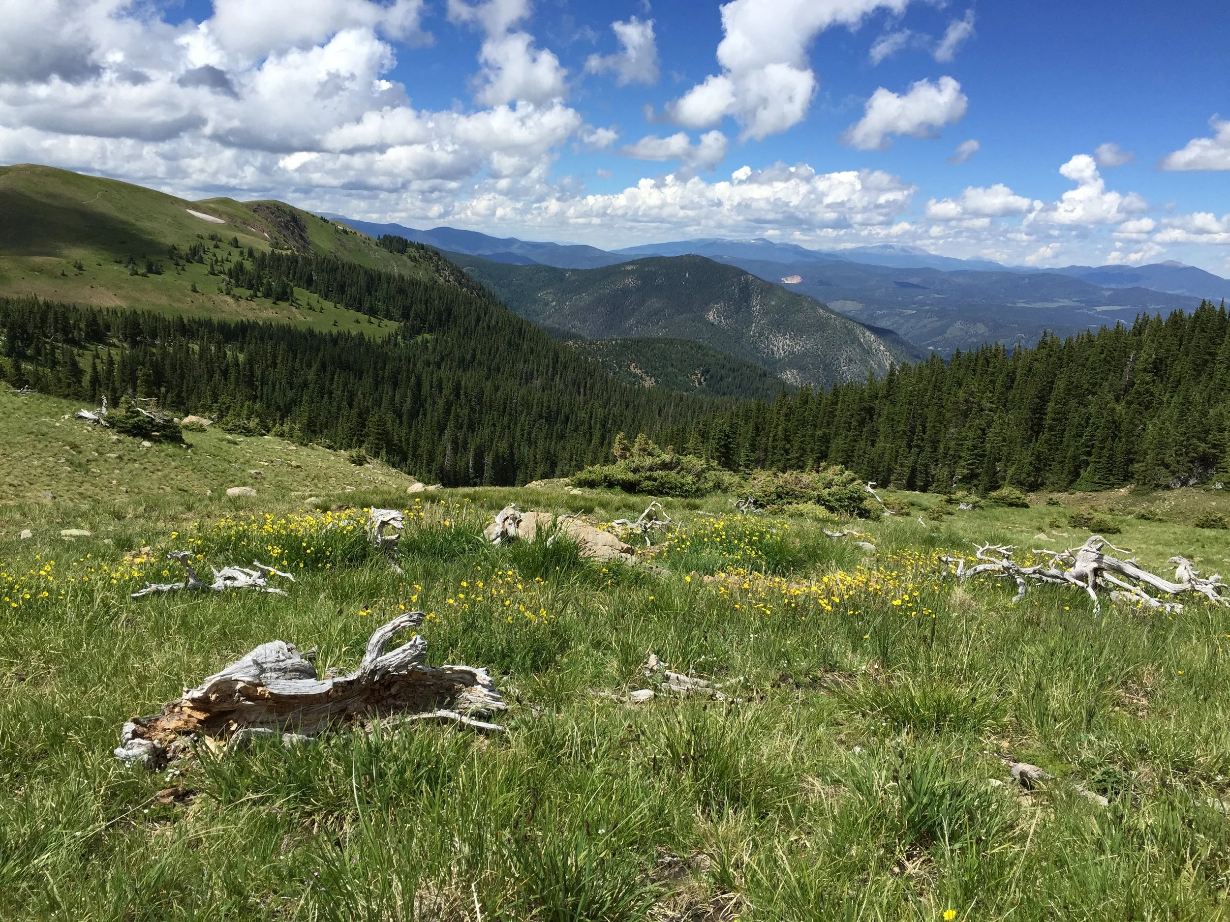 Latir Peaks Wilderness
