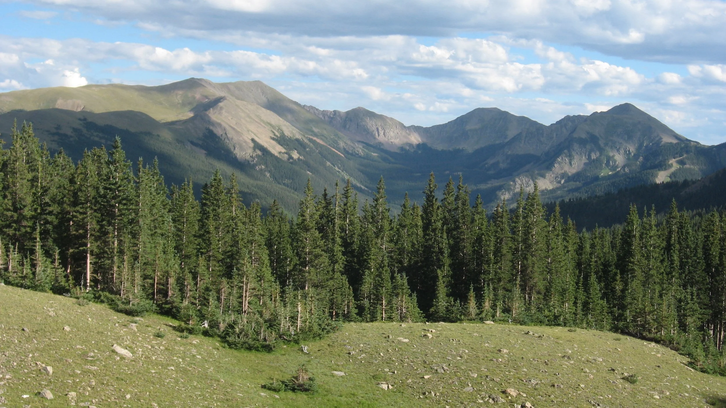 Wheeler Peak Wilderness