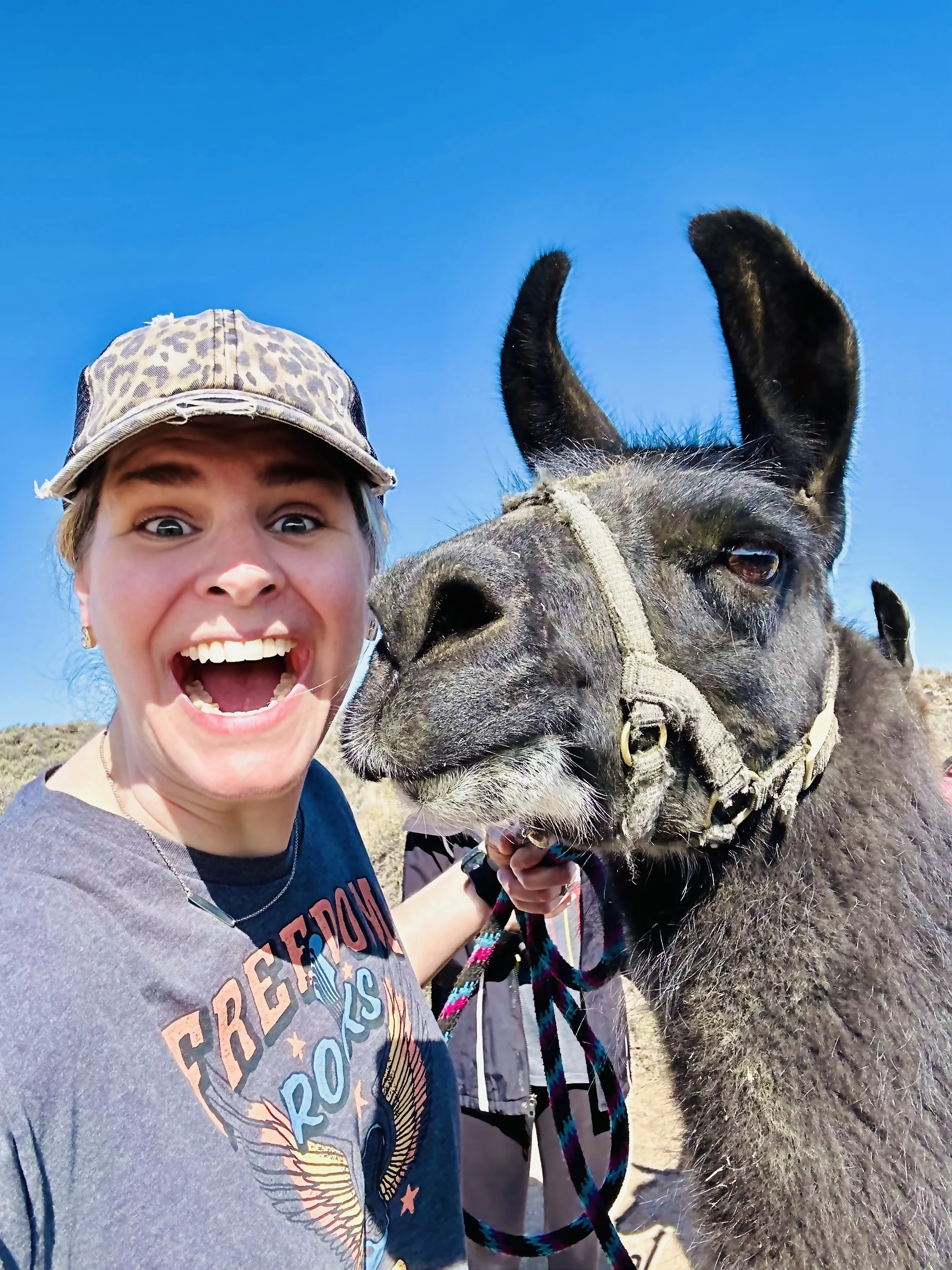 Llama Trekking Gift Certificates