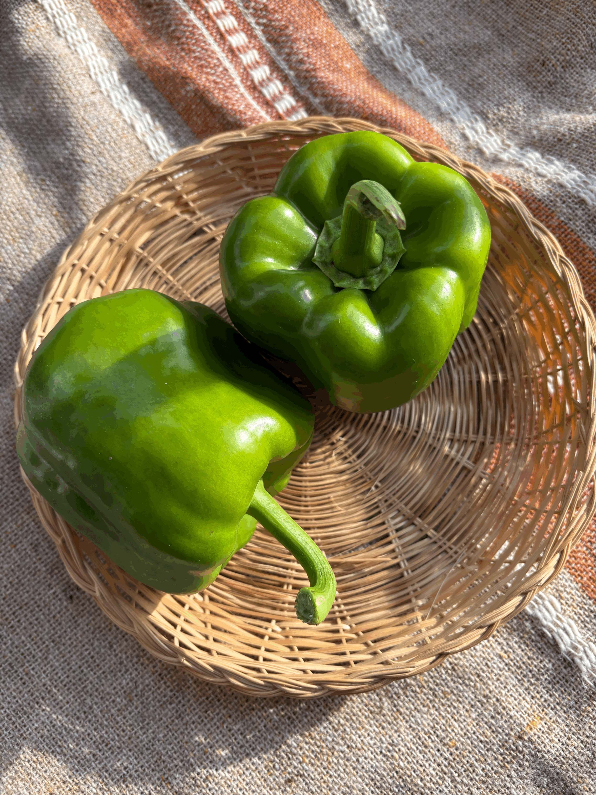 Green Bell Peppers