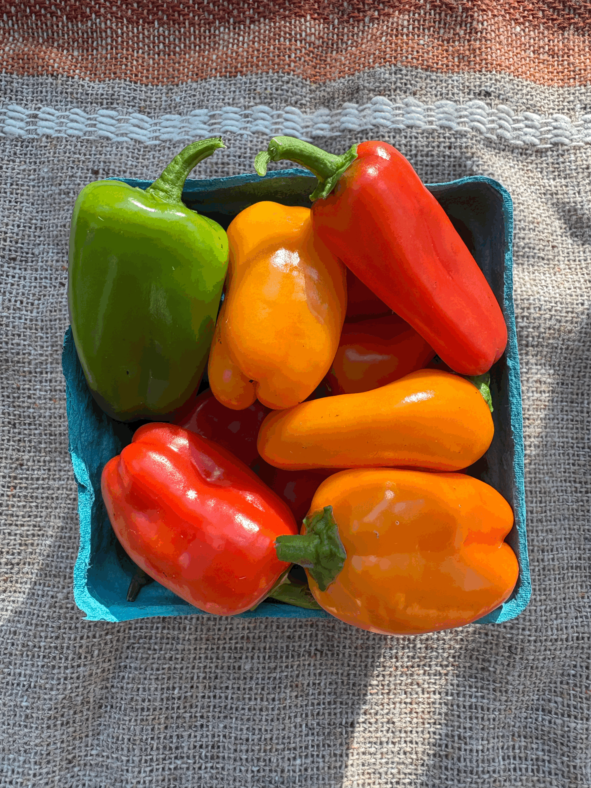 Lunchbox Peppers