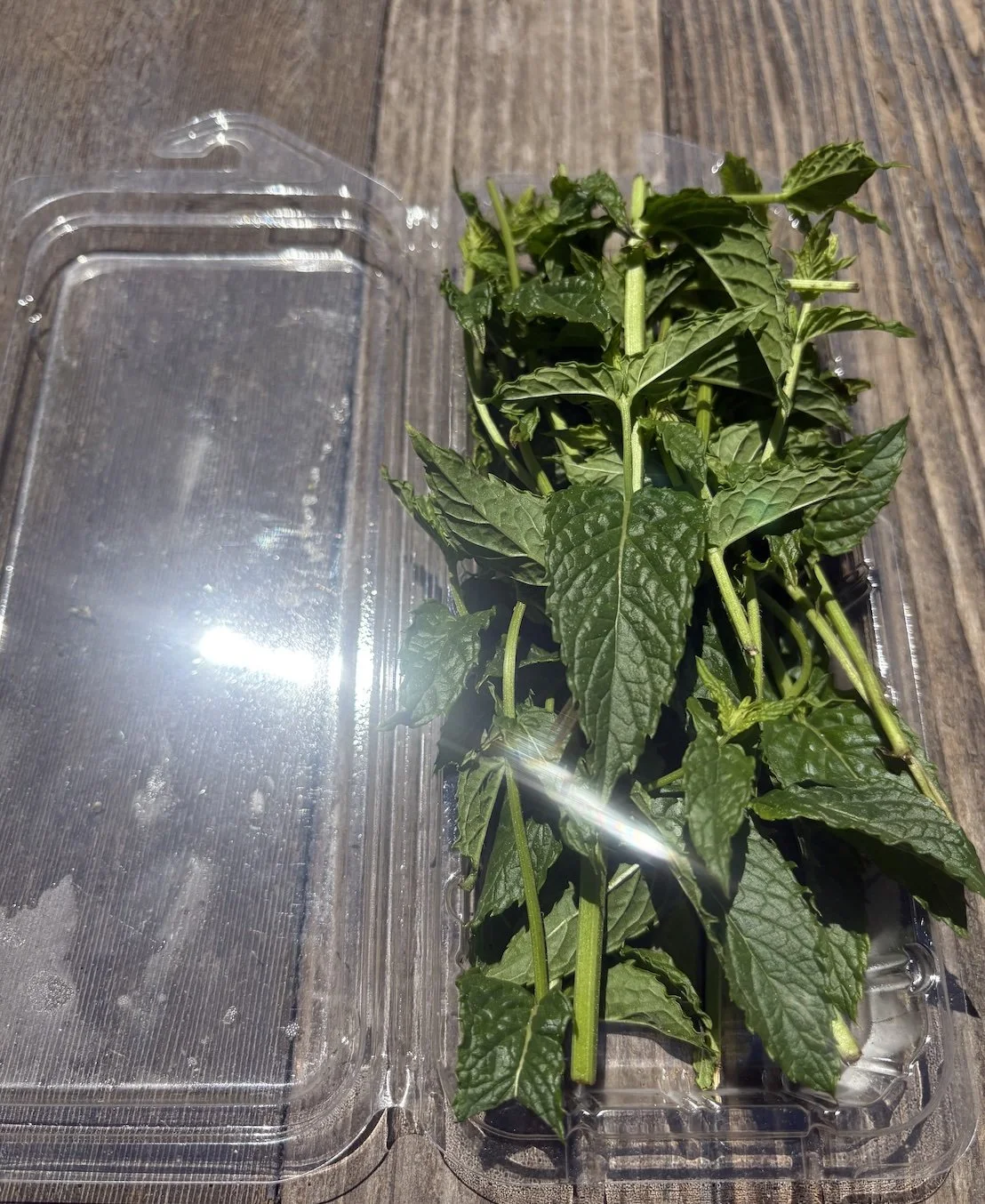 mint.jpg