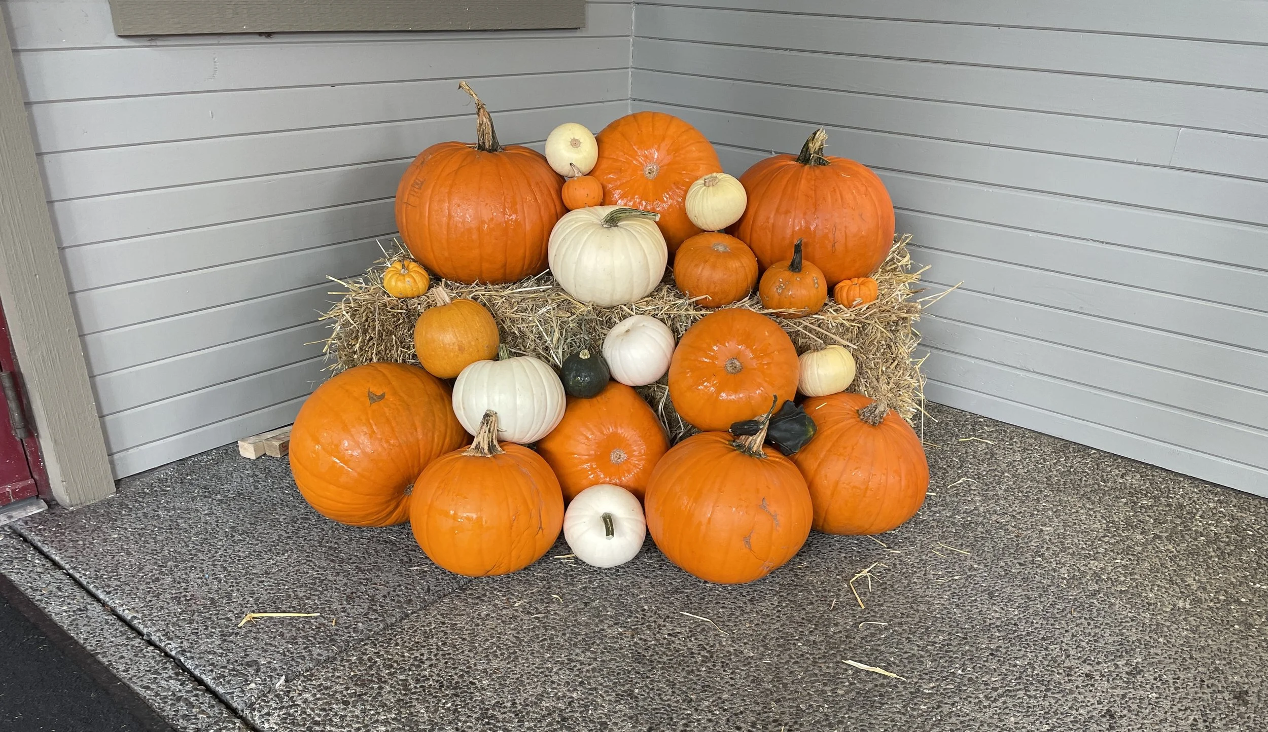 Golf business fall decor display