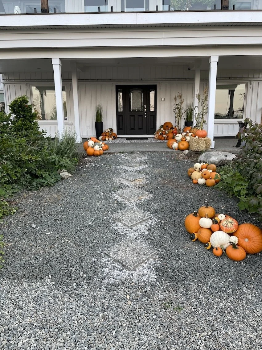 Comox valley pumpkin decor display