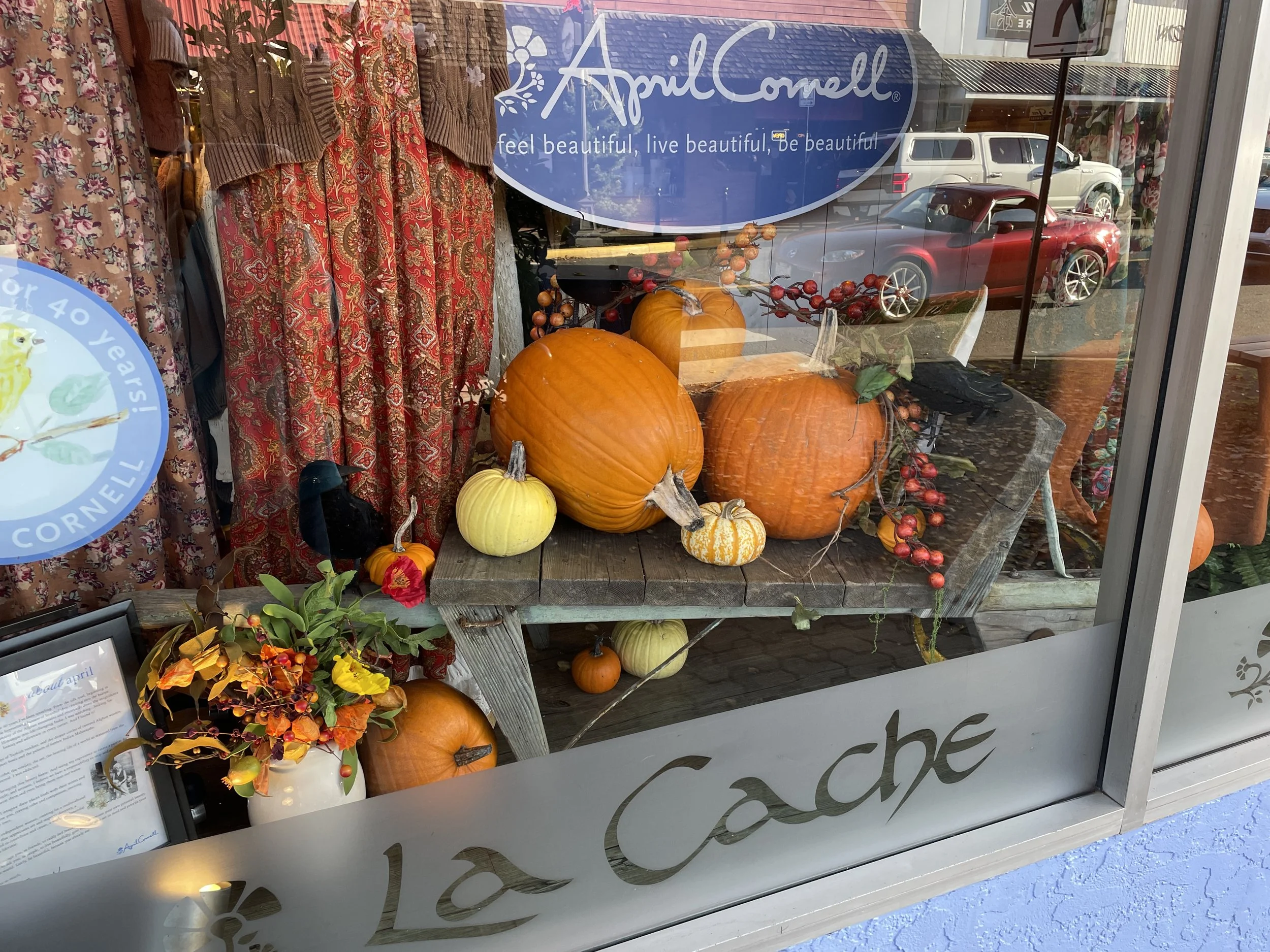 Courtenay business window display