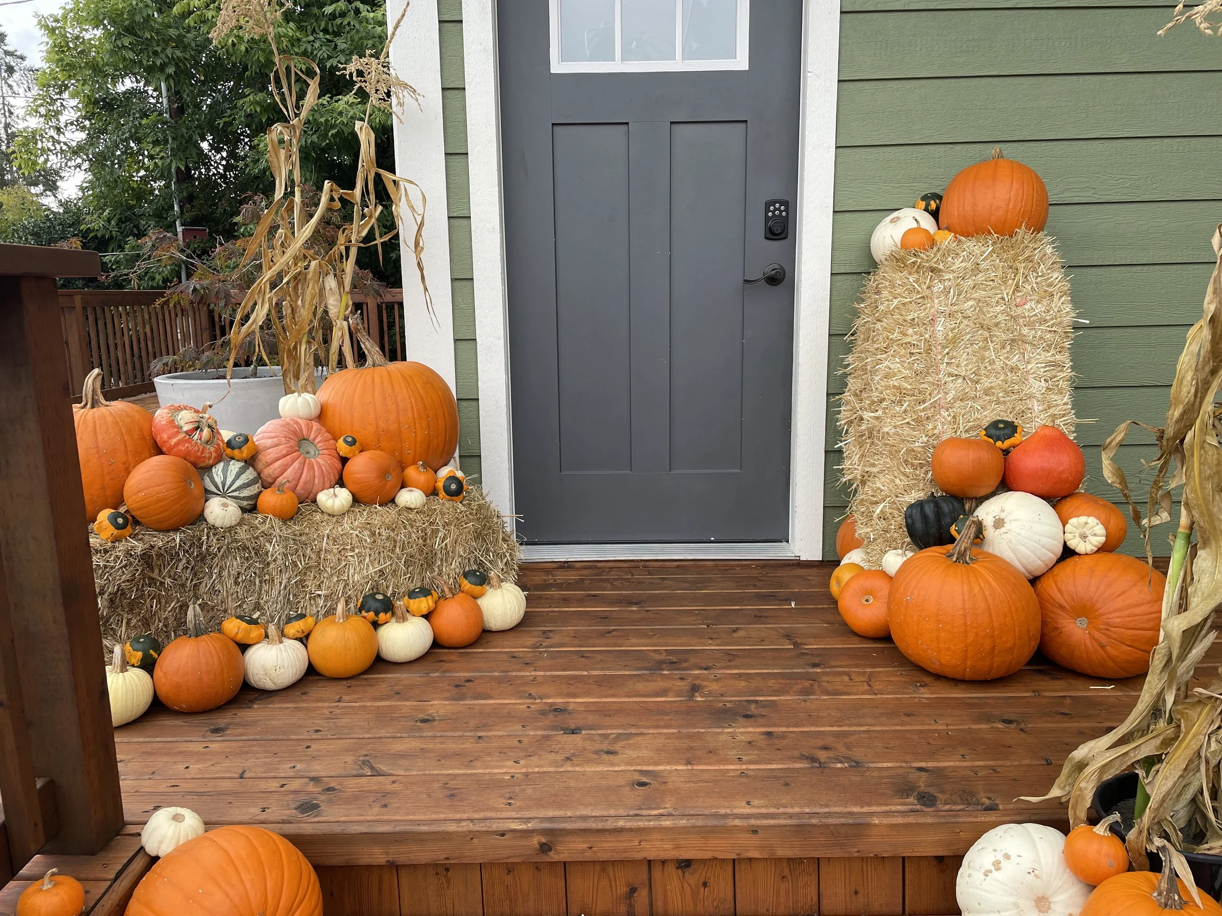 Cumberland pumpkin decor display