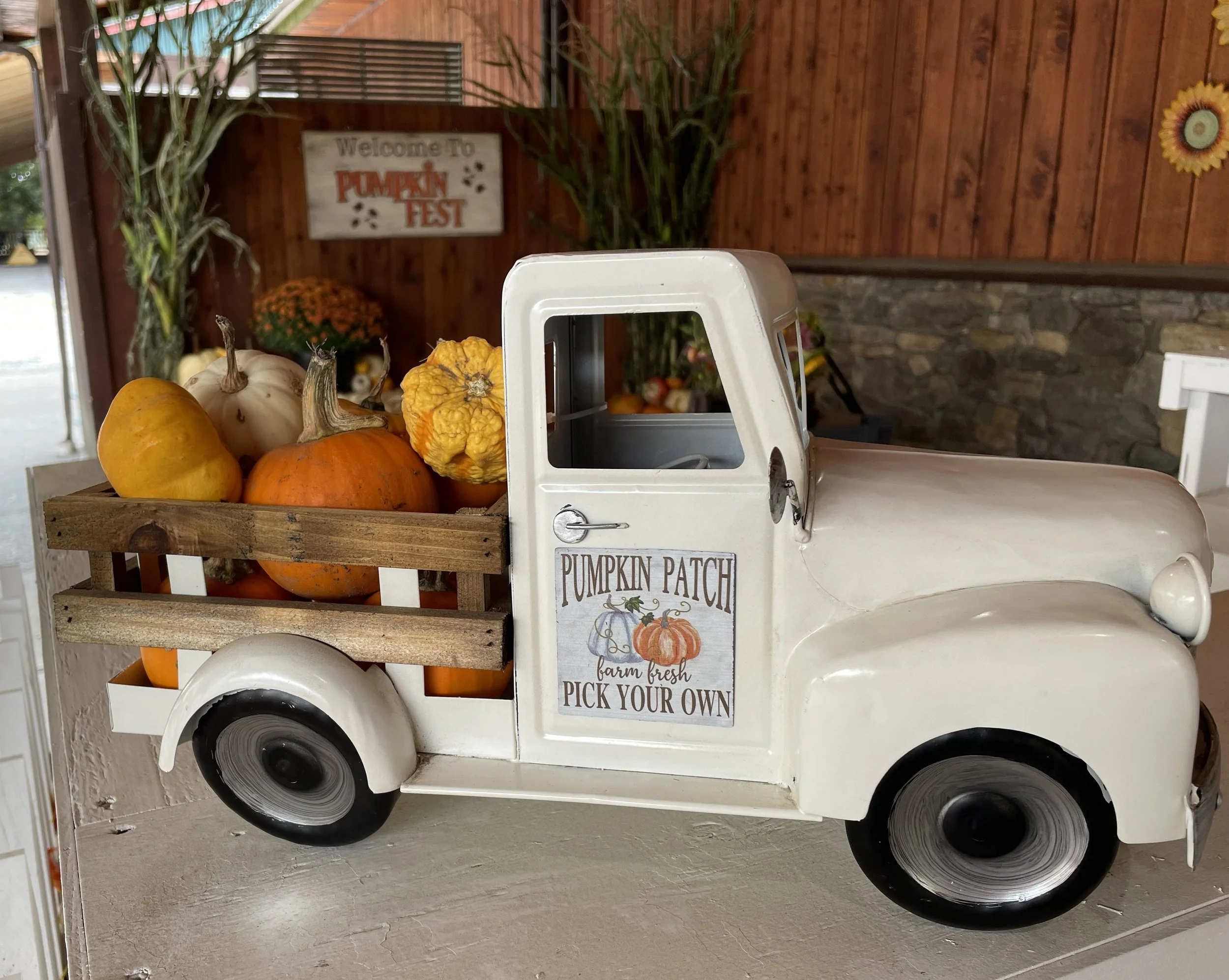 Pumpkin truck display comox valley