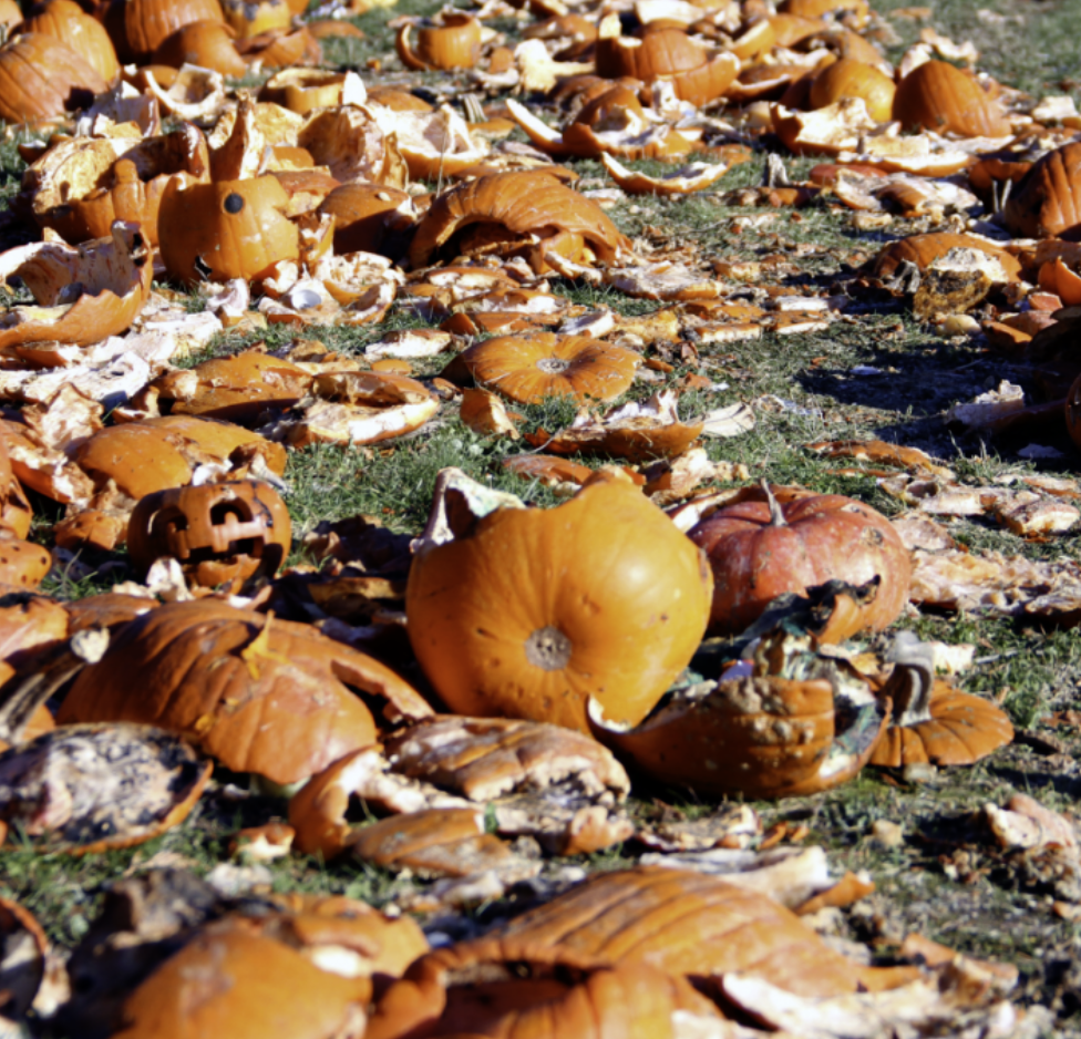 “Pumpkin compost and pickup service after seasonal porch display in Comox Valley BC”