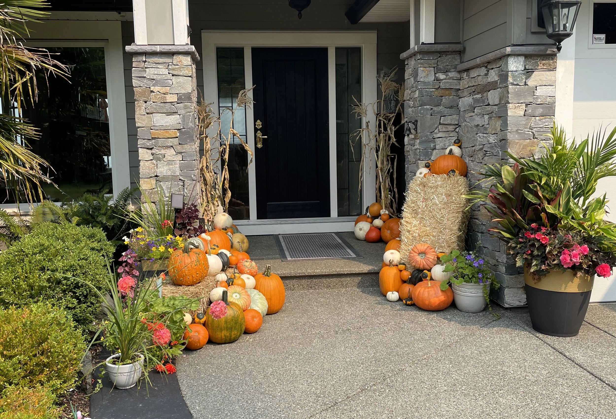 Kirk marilyn after.jpg