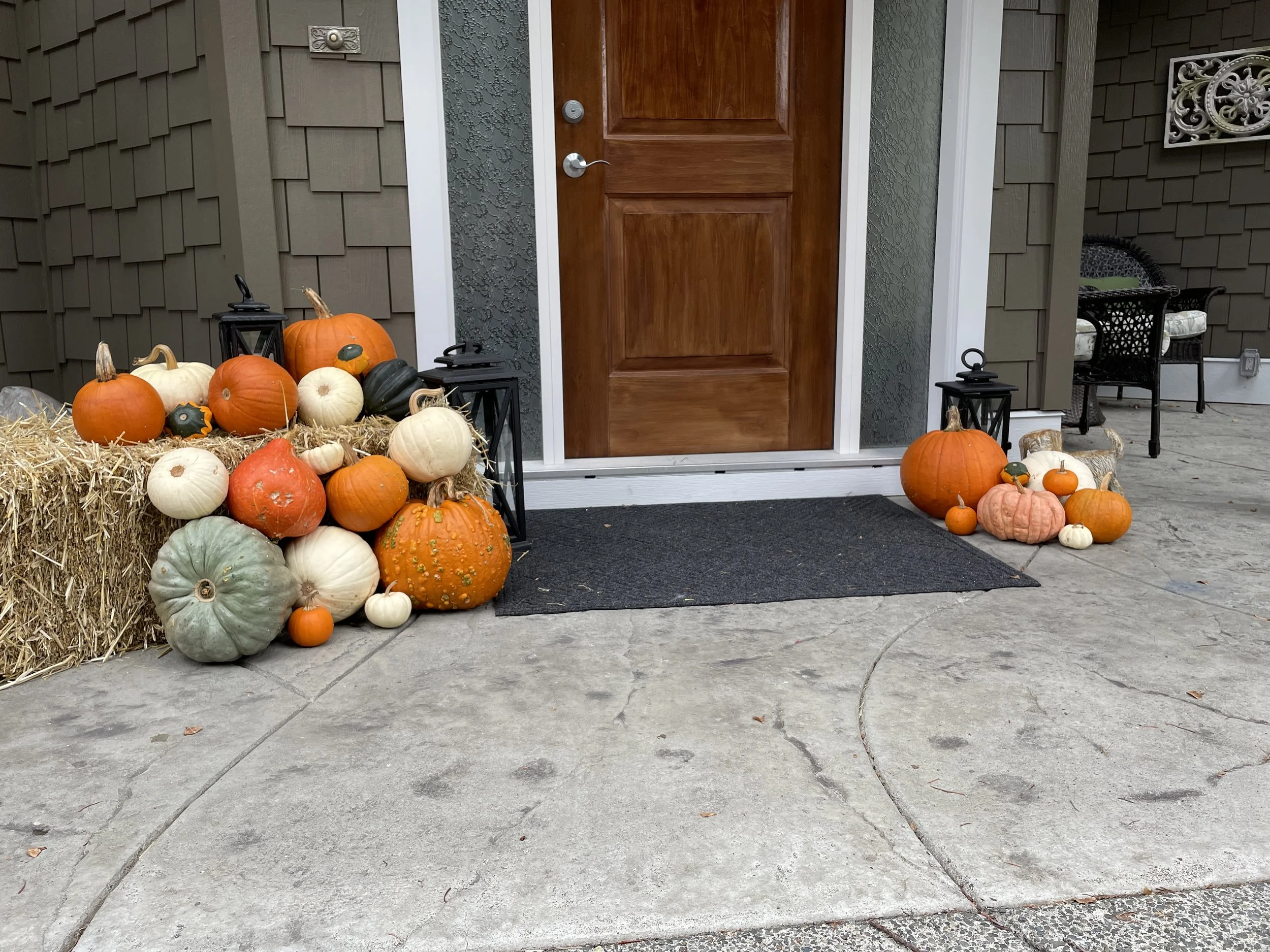 Union Bay fall decor display