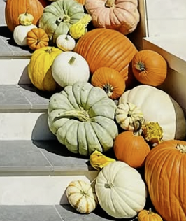 “Colorful mix of orange, white, and green pumpkins decorating porch steps in Courtenay BC”