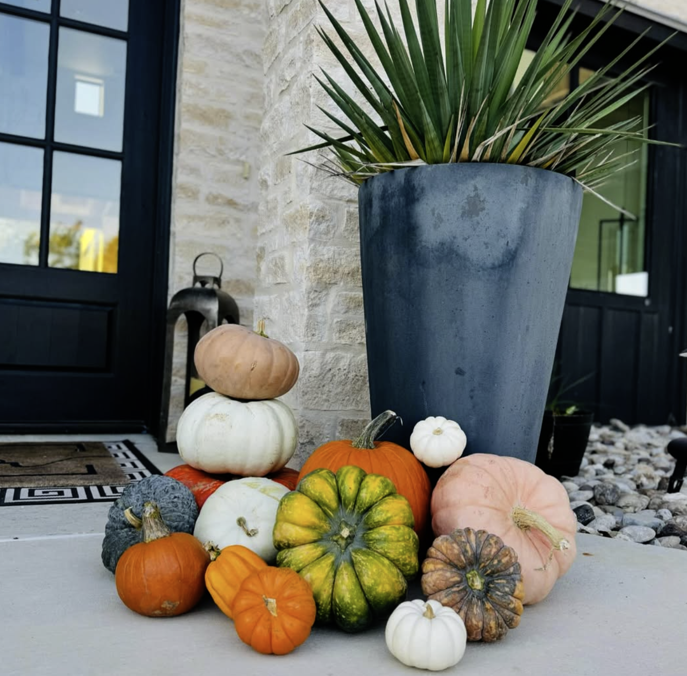 Little Sprout display of pumpkins beside a planter in Courtenay.