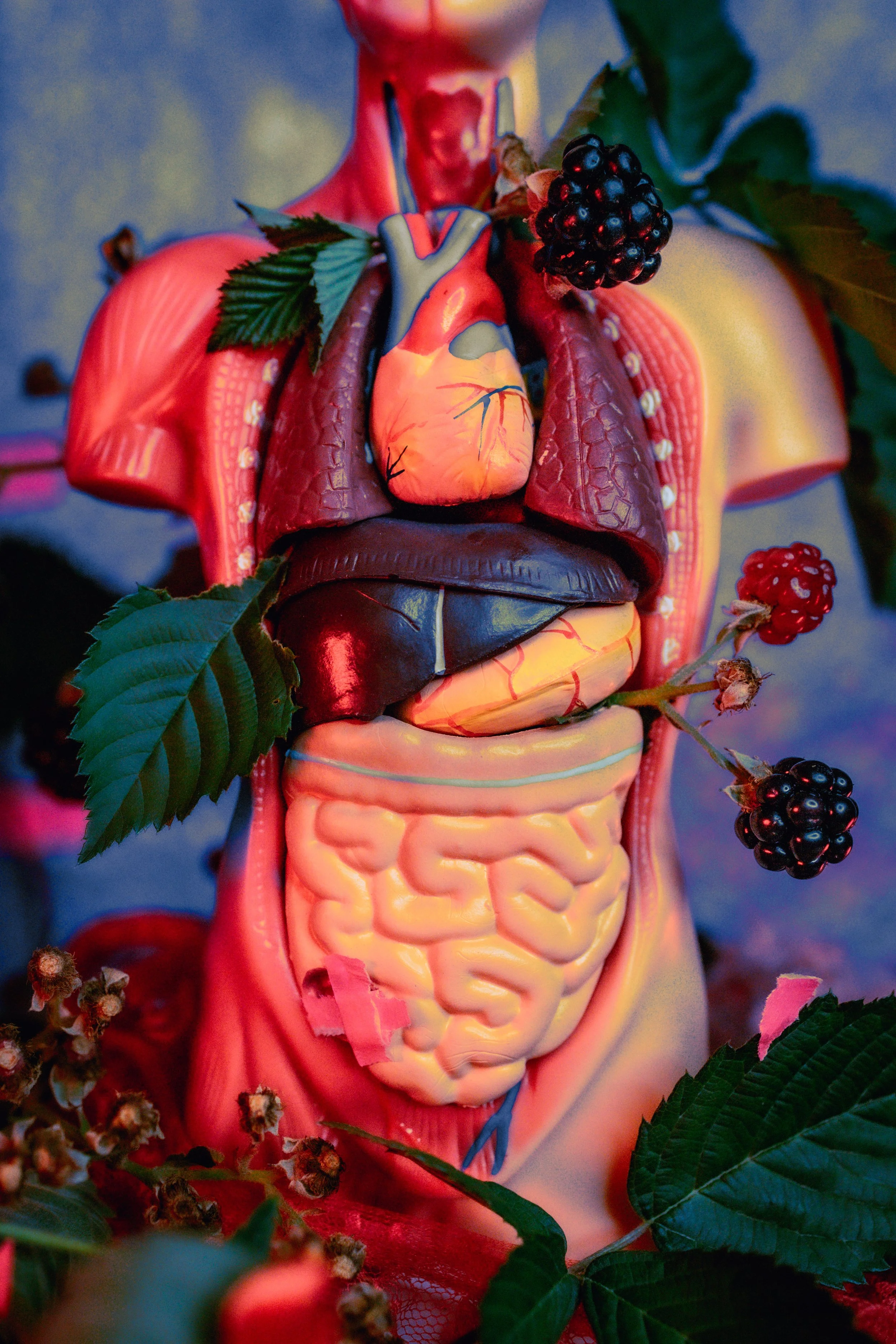 beyondcontrol copy 2.jpg