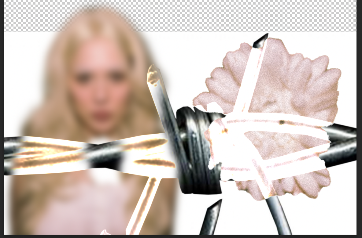 Screenshot 2025-03-16 at 7.46.50 PM.png