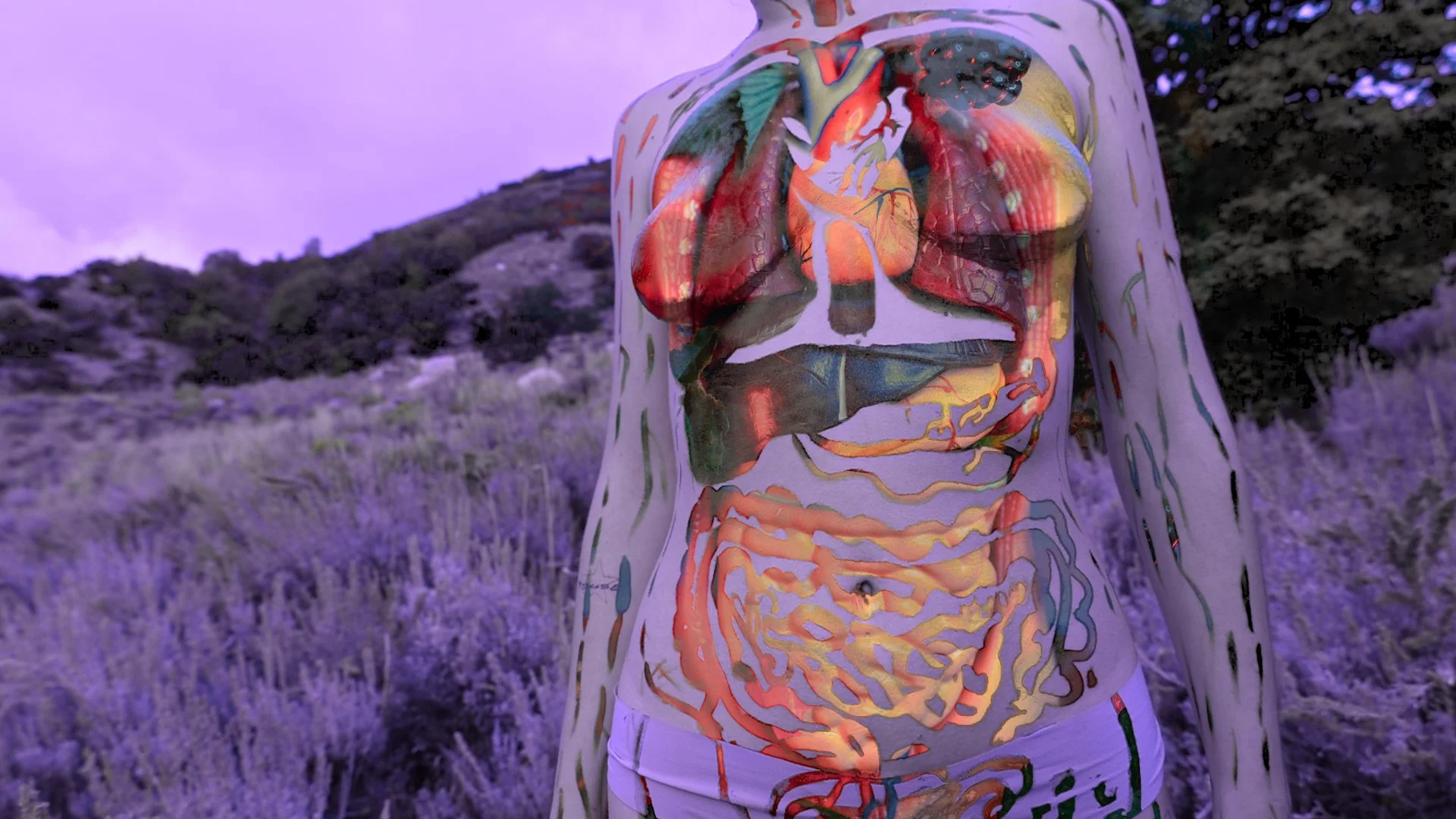 Sequence 01.00_00_58_15.Still009.JPG