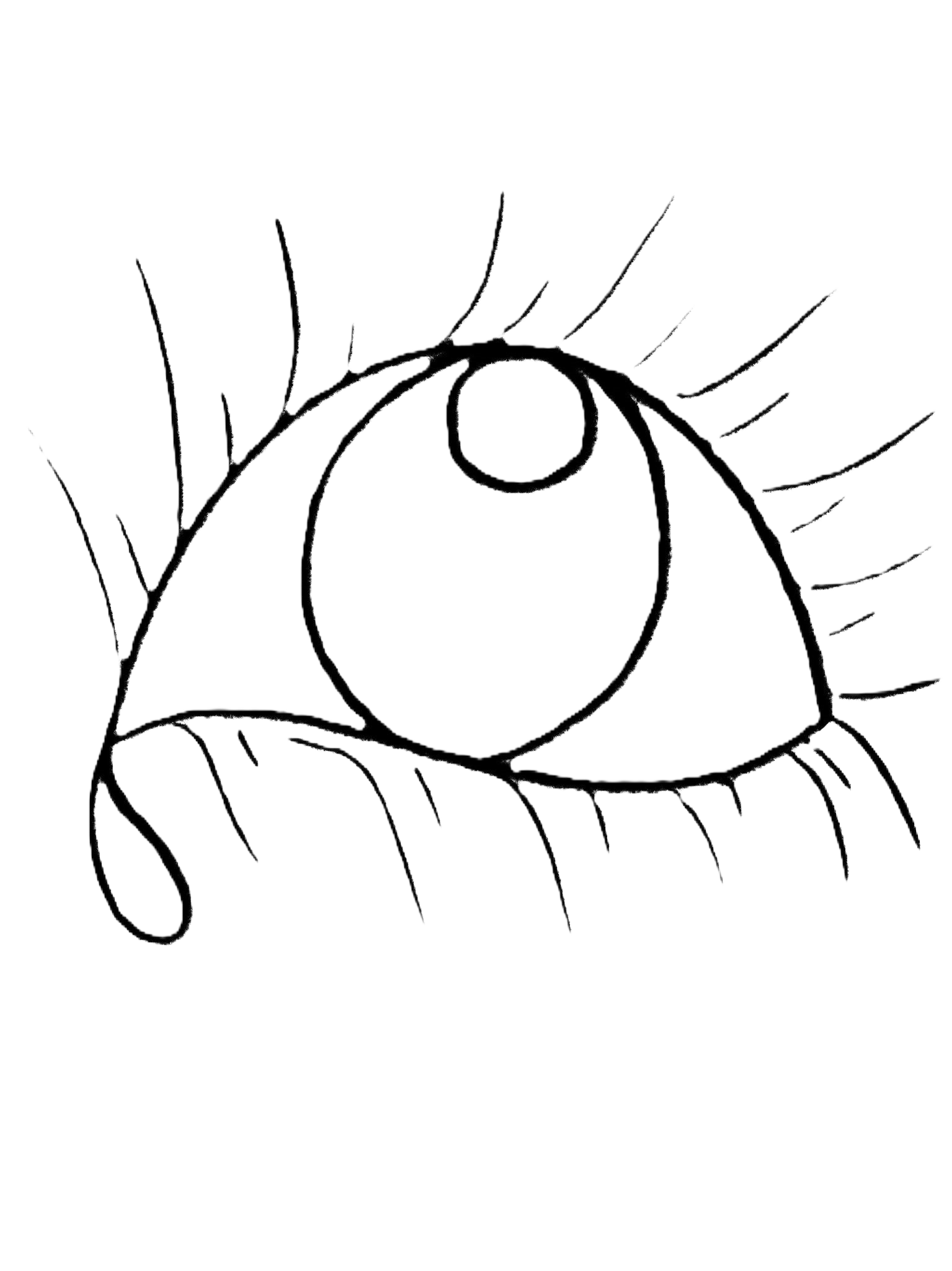 Black and white line drawing of an eye with eyelashes.