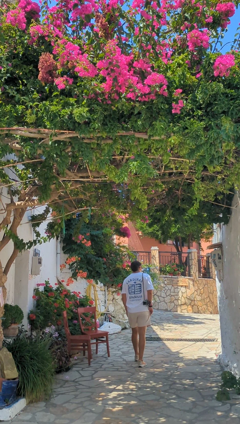 A narrow street on Corfu, Afionas, with white walls and flowering plants, including a large bush with pink flowers overhead, and a man walking away from the camera wearing a white shirt with blue and black text, beige shorts, and sandals.