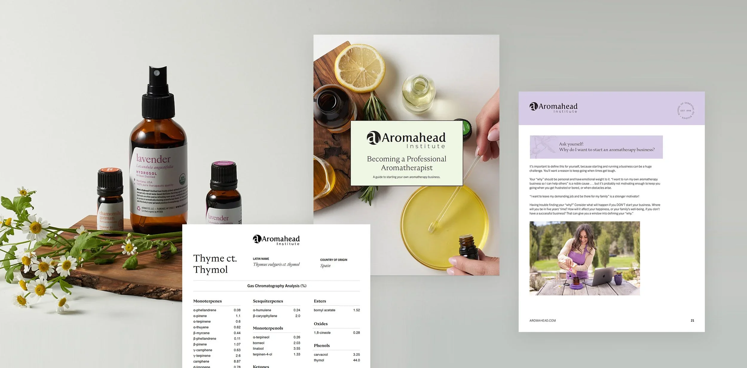 Aromahead print brochures