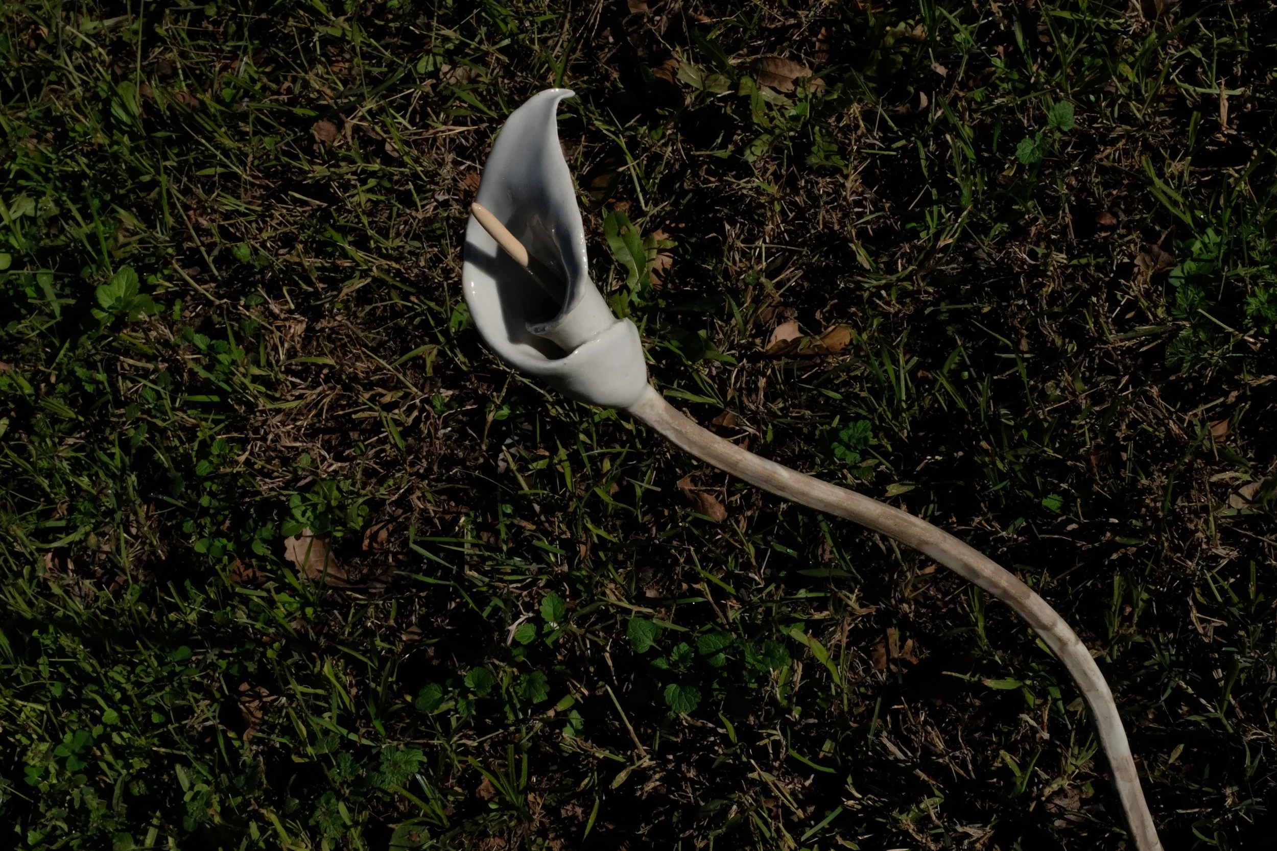 DSCF7256.JPG