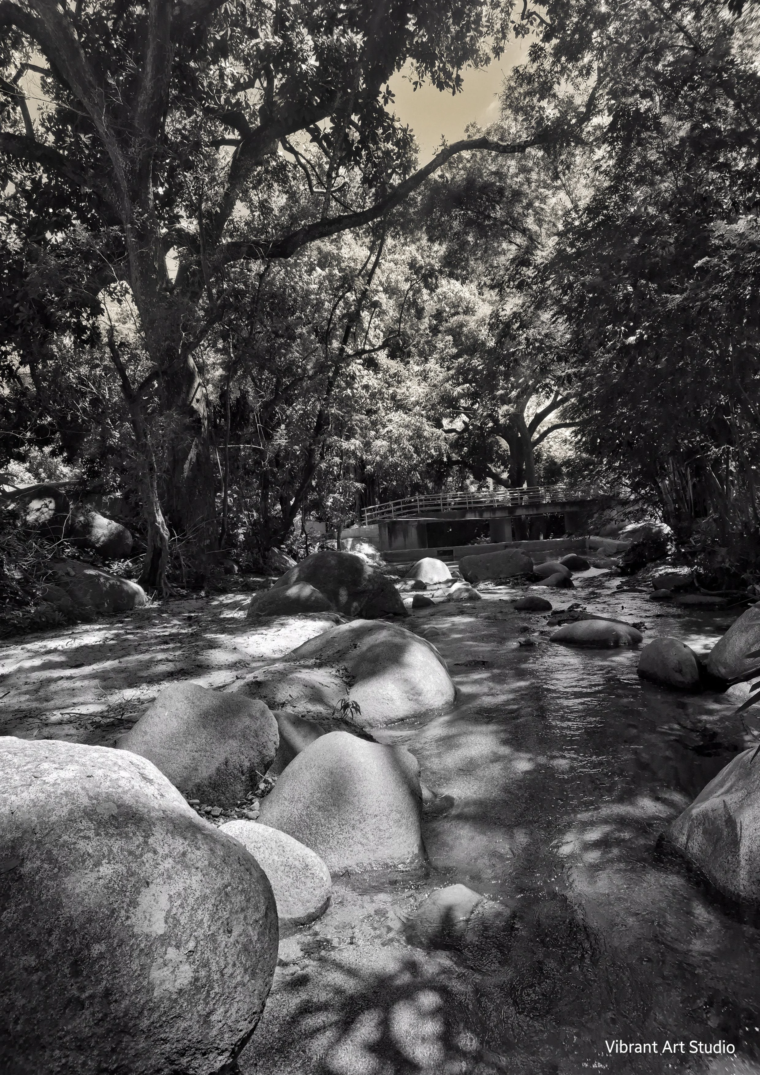 tranquilty river.jpg