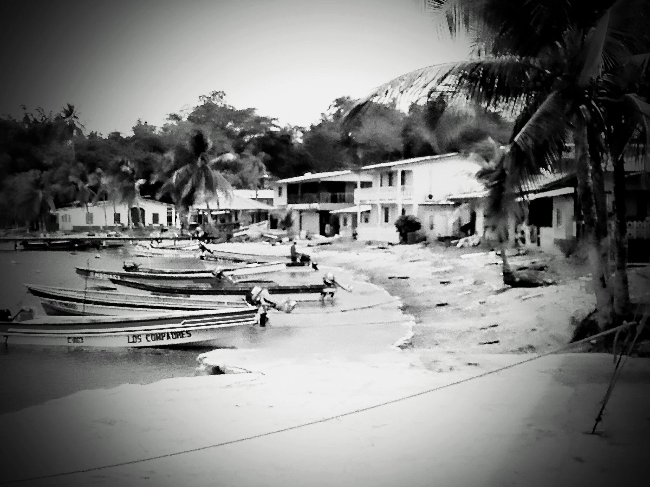 Black and white photo of a coastal village with several boats docked by the shore, palm trees, and houses on a hillside in the background.