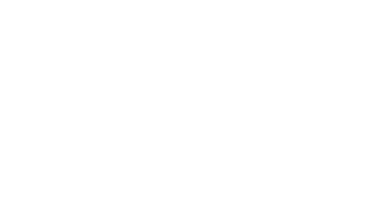 Line art of a lion's face and a bear's face, both in outline style on a black background.
