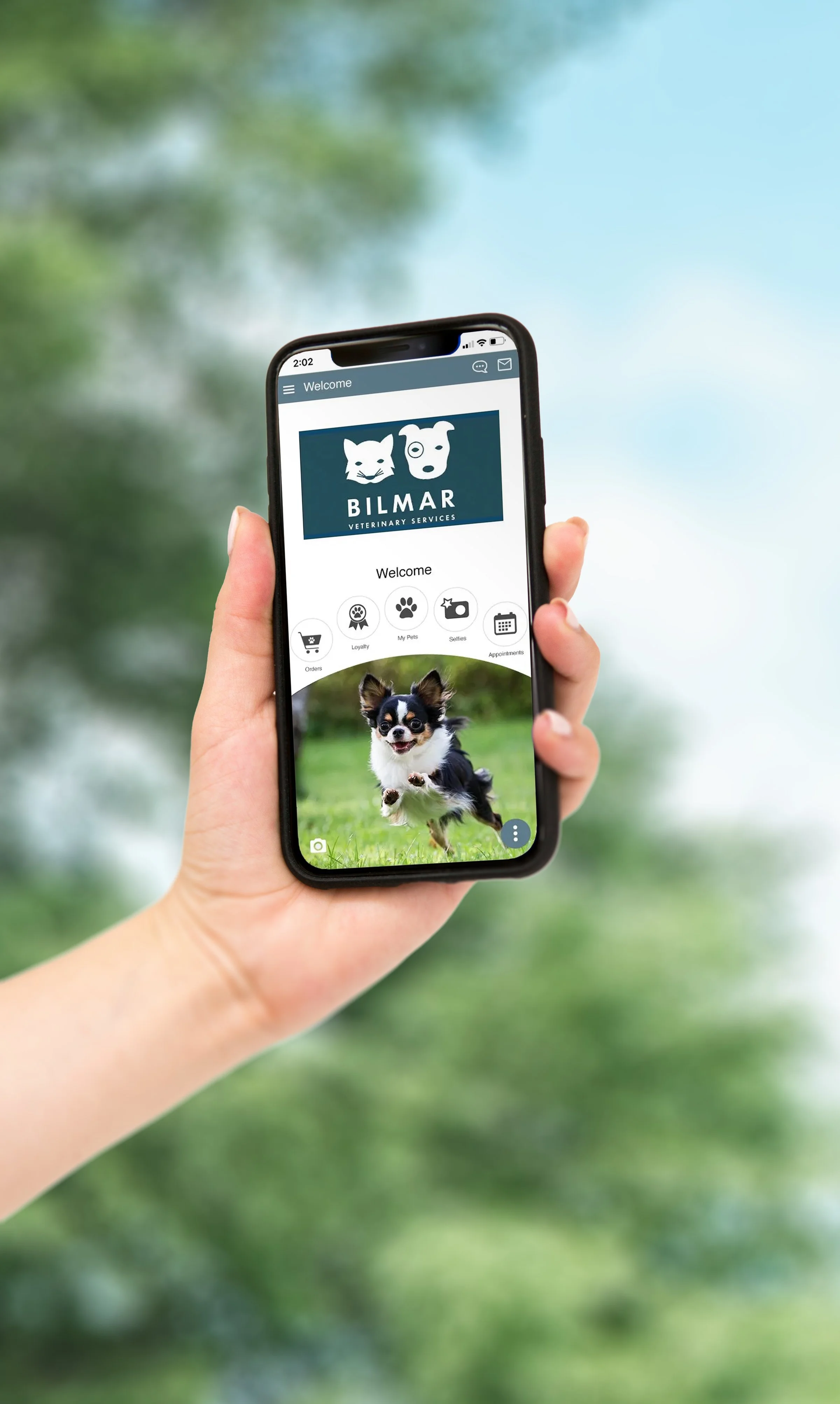 Person holding smartphone displaying a veterinary services app with a picture of a running Chihuahua dog on the screen.
