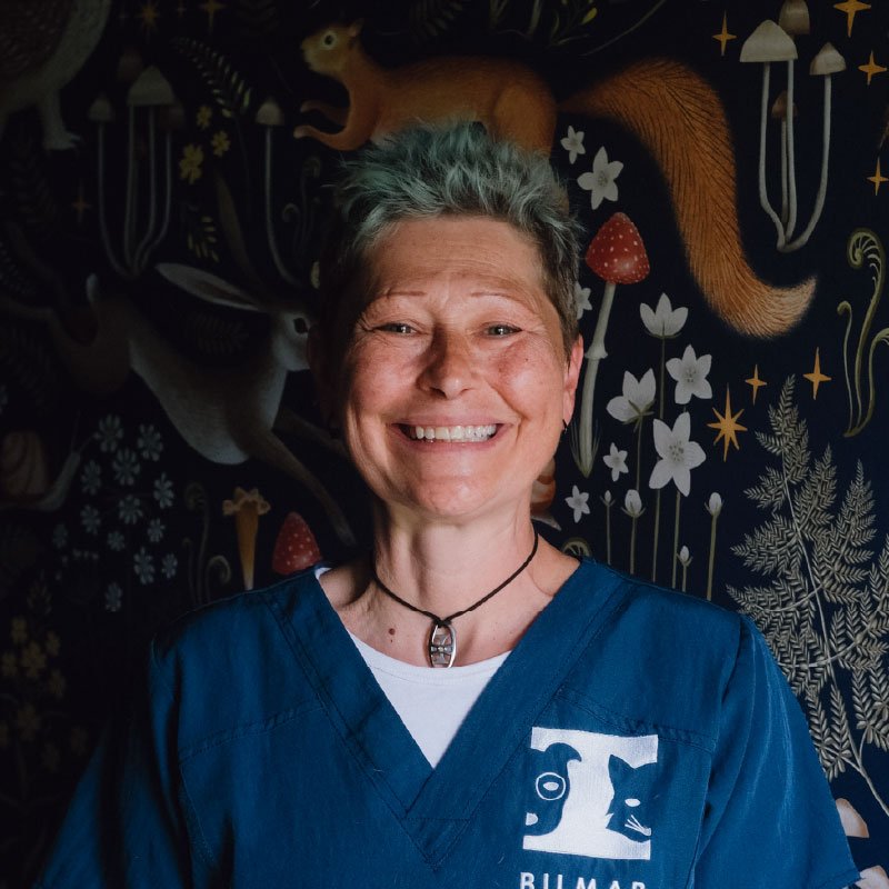 A smiling woman with short, gray hair wearing a blue shirt stands in front of a dark, patterned background featuring animals and plants, with a fox or dog on her shirt and a fox head behind her.