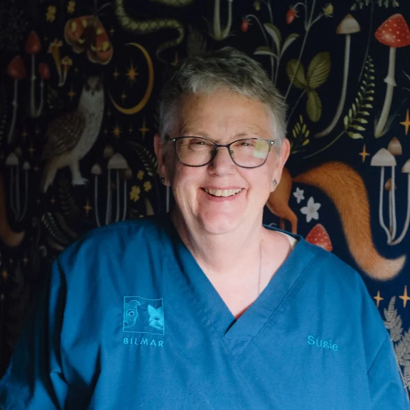 A smiling woman with short gray hair and glasses wearing blue scrubs that say Susie and have a logo with the word BILMAR. She is standing in front of a dark background decorated with colorful illustrations of animals, mushrooms, and plants.