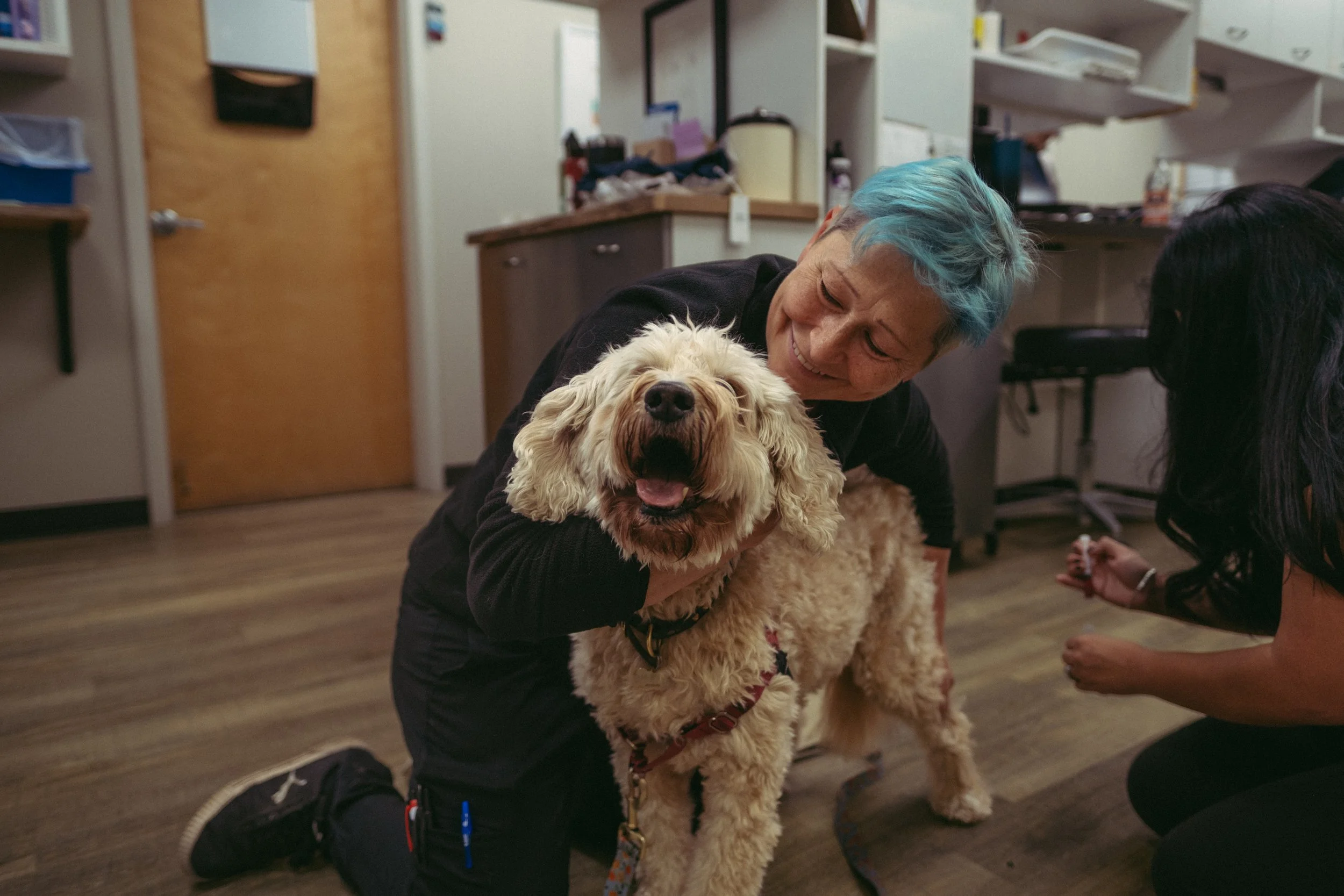 Person with blue hair hugging a large, fluffy, light-colored dog inside a room with shelves and a door.