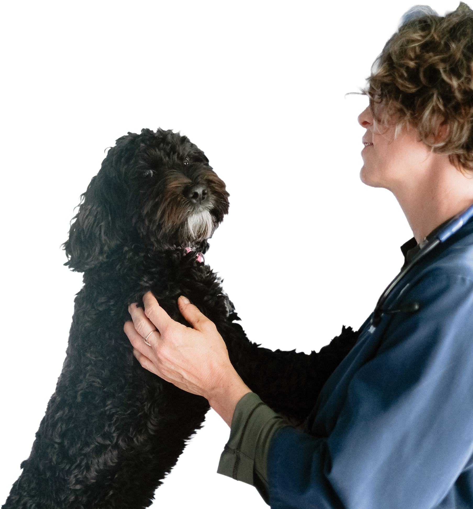 A woman with curly hair and glasses, wearing a badge and a dark blue jacket, gently holding a large black fluffy dog with brown accents on its face and chest. The woman is looking at the dog, who is looking back at her.