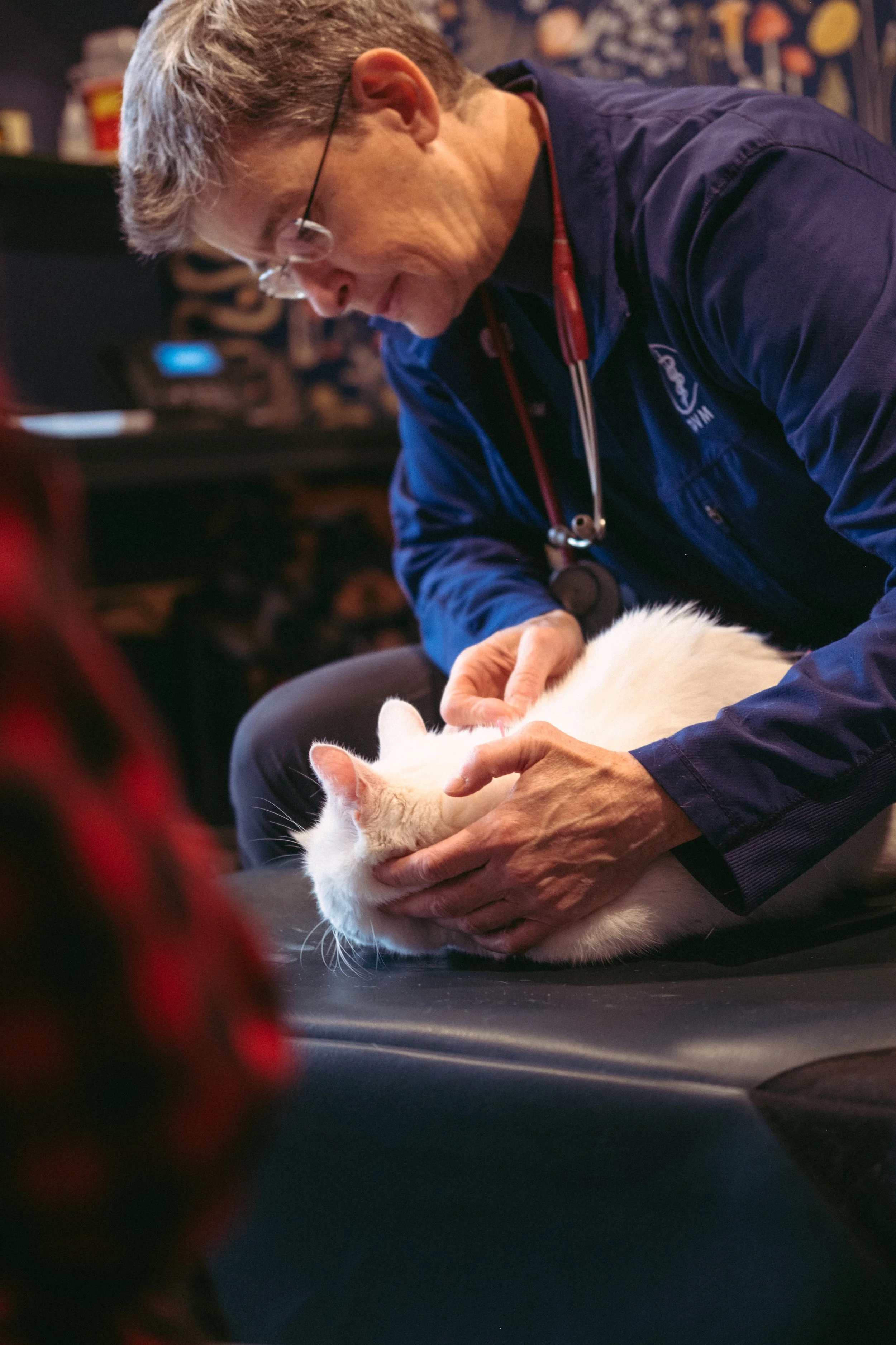 A veterinarian wearing glasses and a blue uniform examines a white cat lying on a black surface.