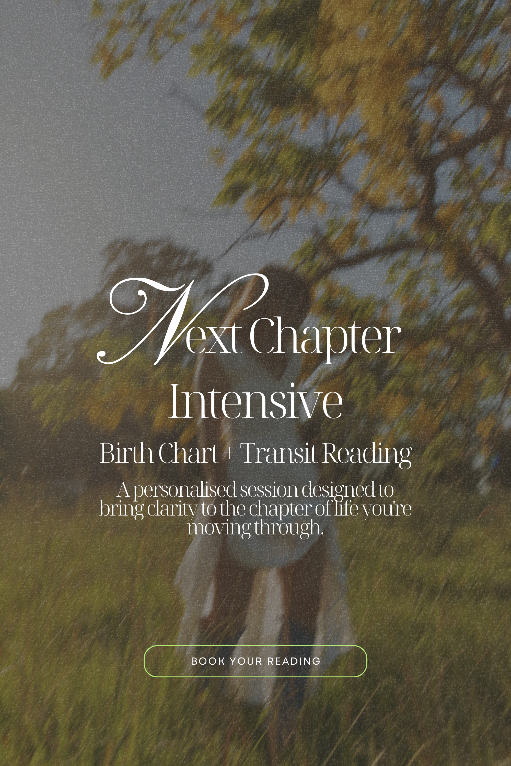 Next Chapter Intensive (for Adults)