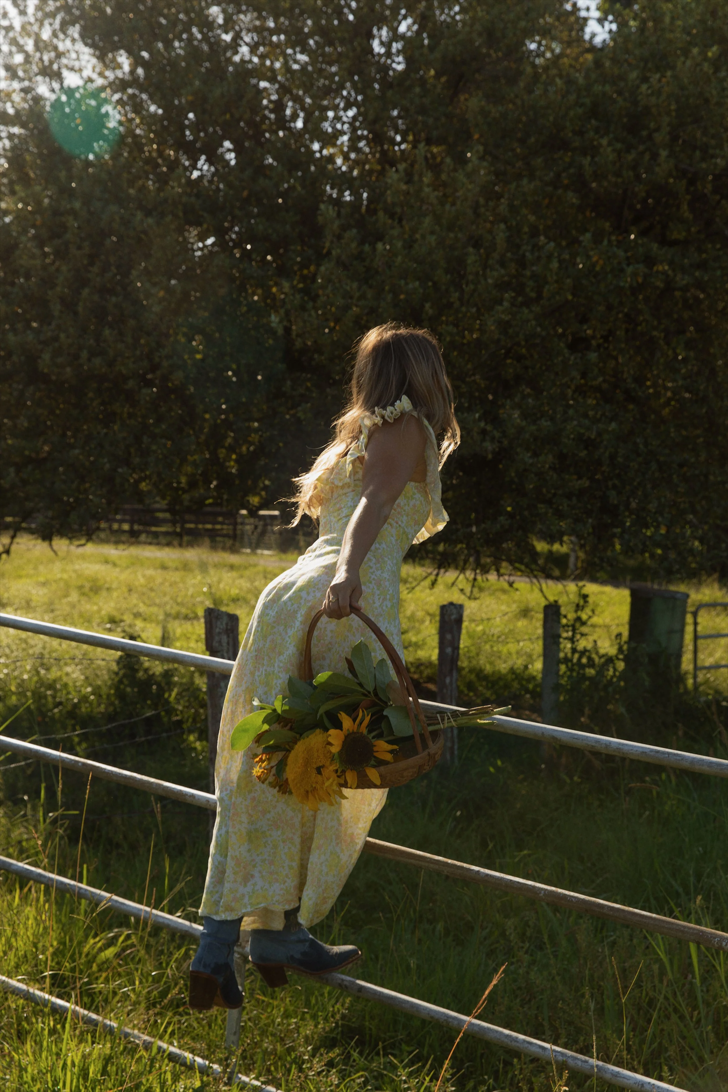Sophie on a fence with flowers in a basket
