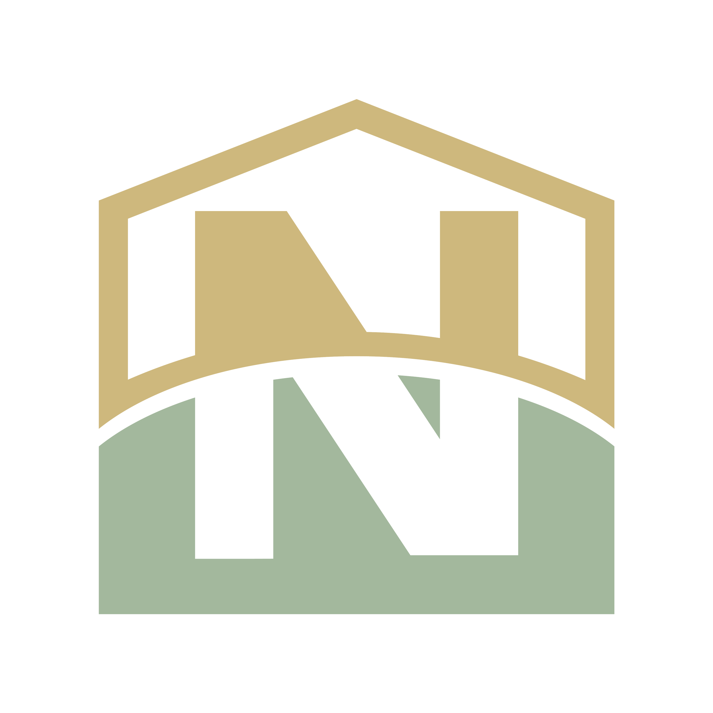 Brandy Nichols Realty Logo