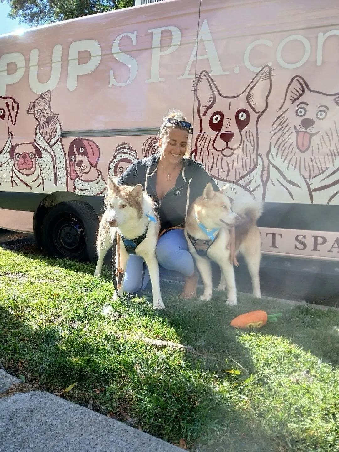🍃 Beautiful trio on a crisp autumn Saturday morning 🪴

#luxurypetgrooming #countdowntopampering #pupspapampervan #mobilegrooming #doggrooming #doggroomer #doglovers #dogpark #sfdogs #dogstyle #dogtreats #dogsalon #dogfriends #doggrooming #haywardgr