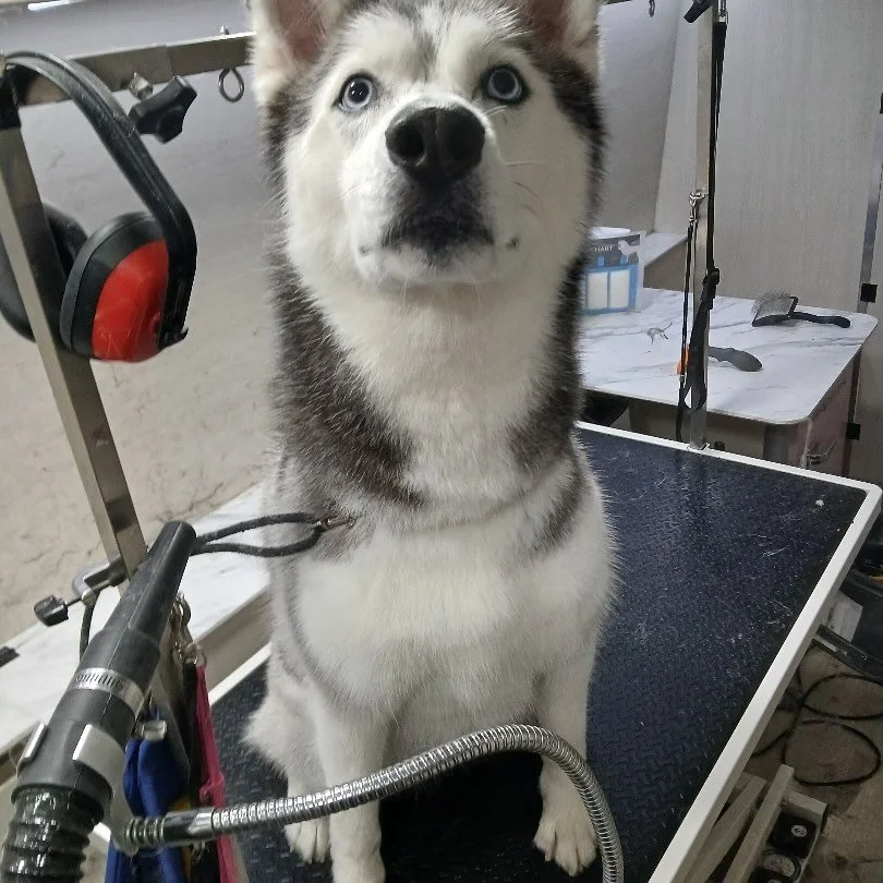 My mom said I am the most handsome boy in the whole world 🌏❤️