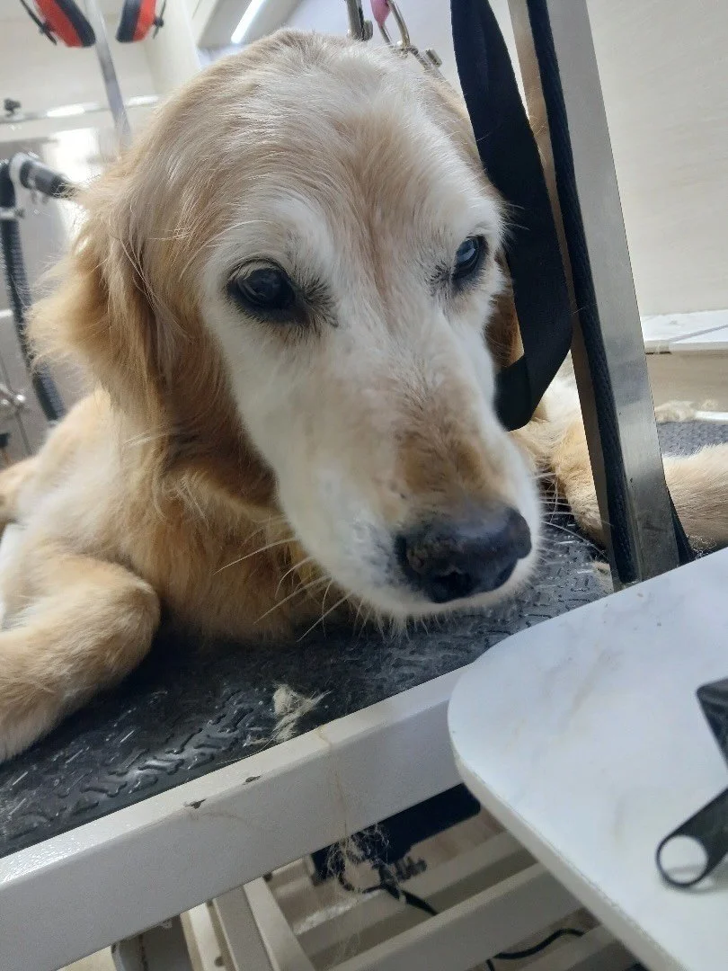 Found the treat box ! 😁