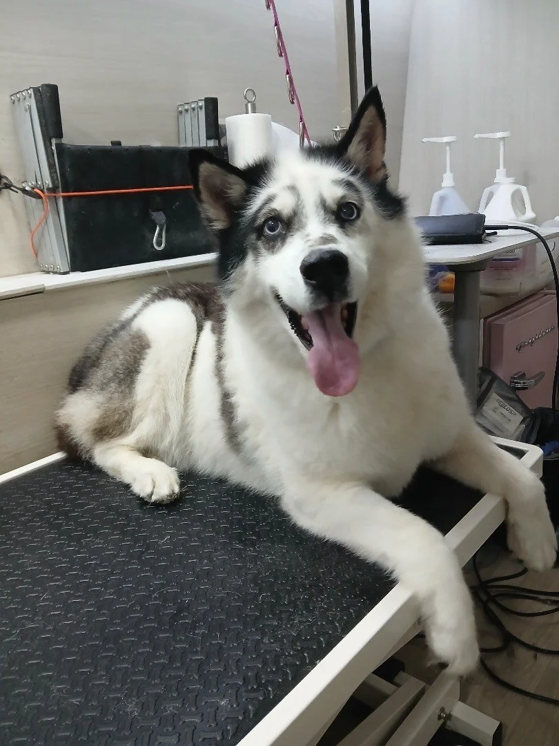 I wasn&rsquo;t sure at first, but I loved it 😍💗 I feel amazing🌟