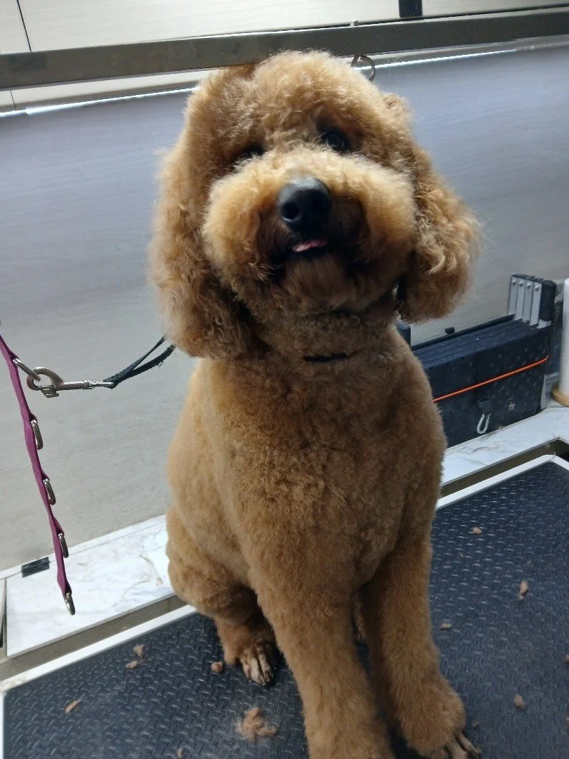 Poof 💨 it&rsquo;s magic 🪄