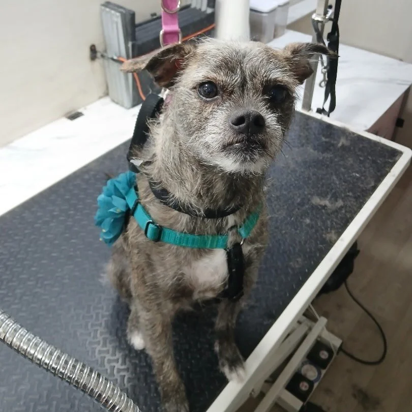 My right is the better side of my face 😉