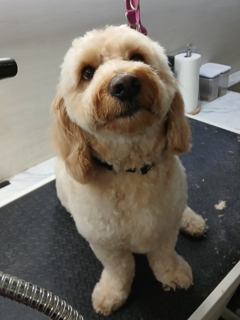 Getting into the holiday spirit 🎄💫