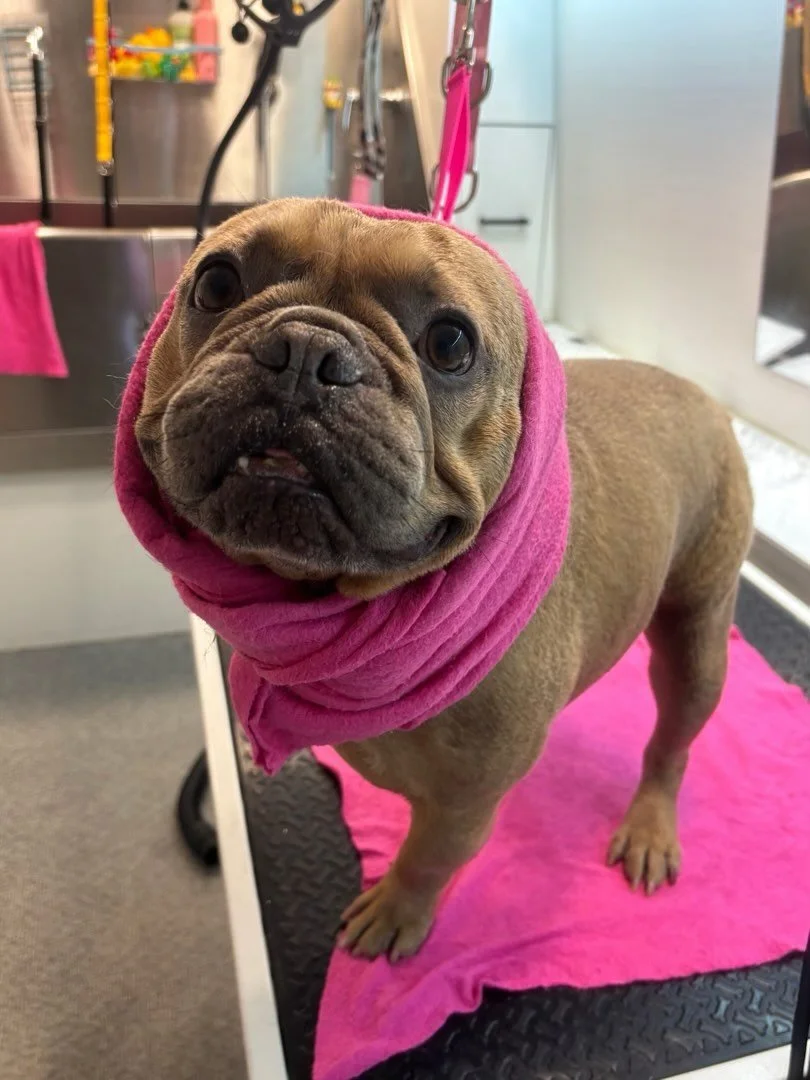 Nothing like a warm bath on a chilly day, aaaah 🥰