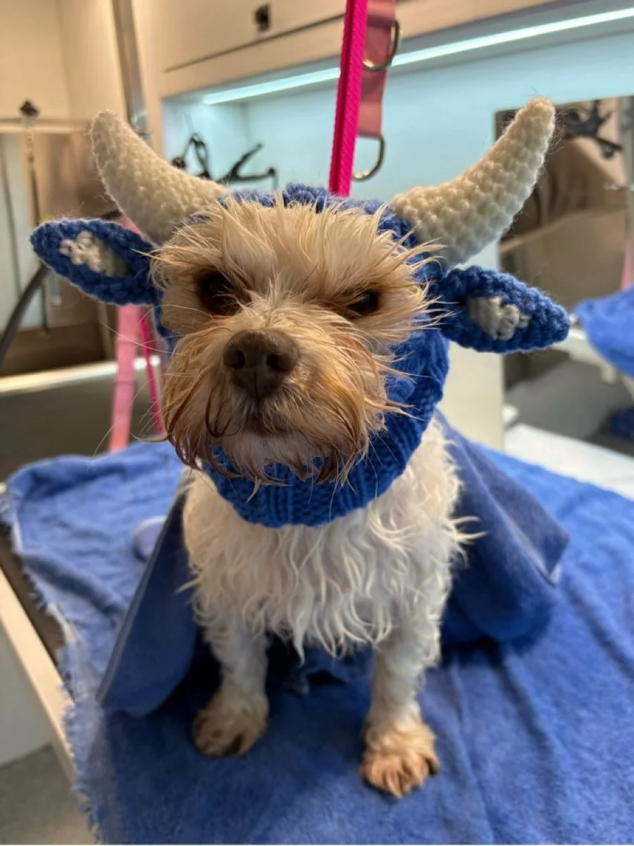 I&rsquo;m not angry&hellip; I&rsquo;m just playing a character.😈