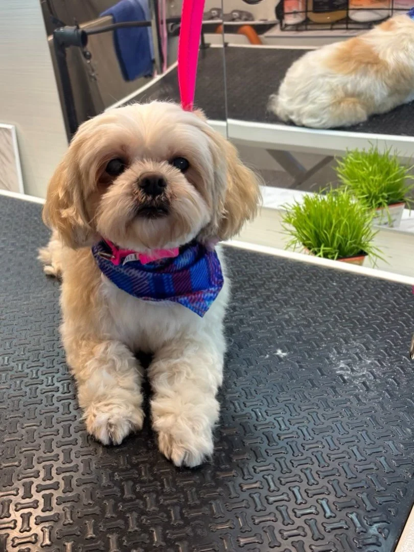 Spa day gives me a chance to reflect upon my life.  Sometimes it&rsquo;s filled with hardships and pains, but I think about my family and my heart swells with love ❤️