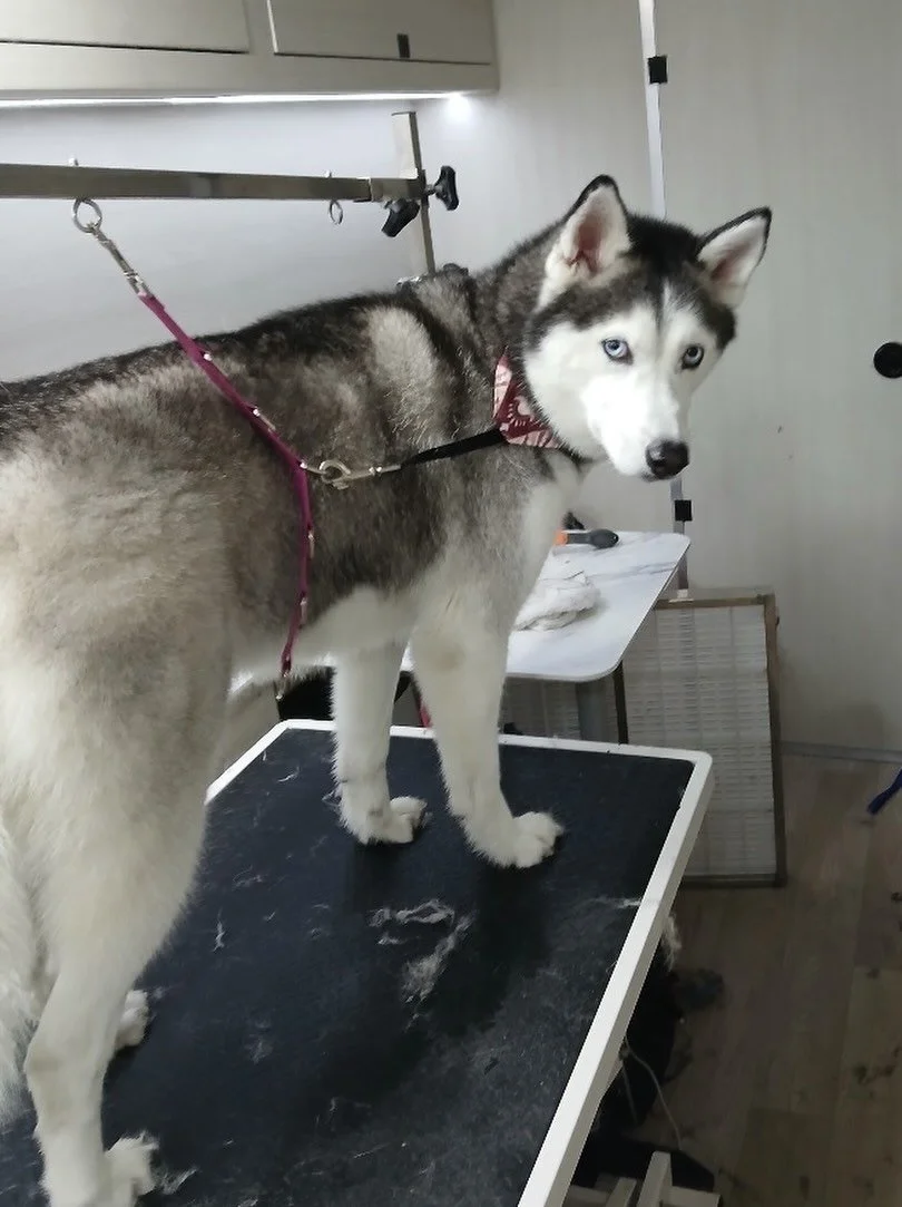 This feeling after my spa is the best feeling! 🤩